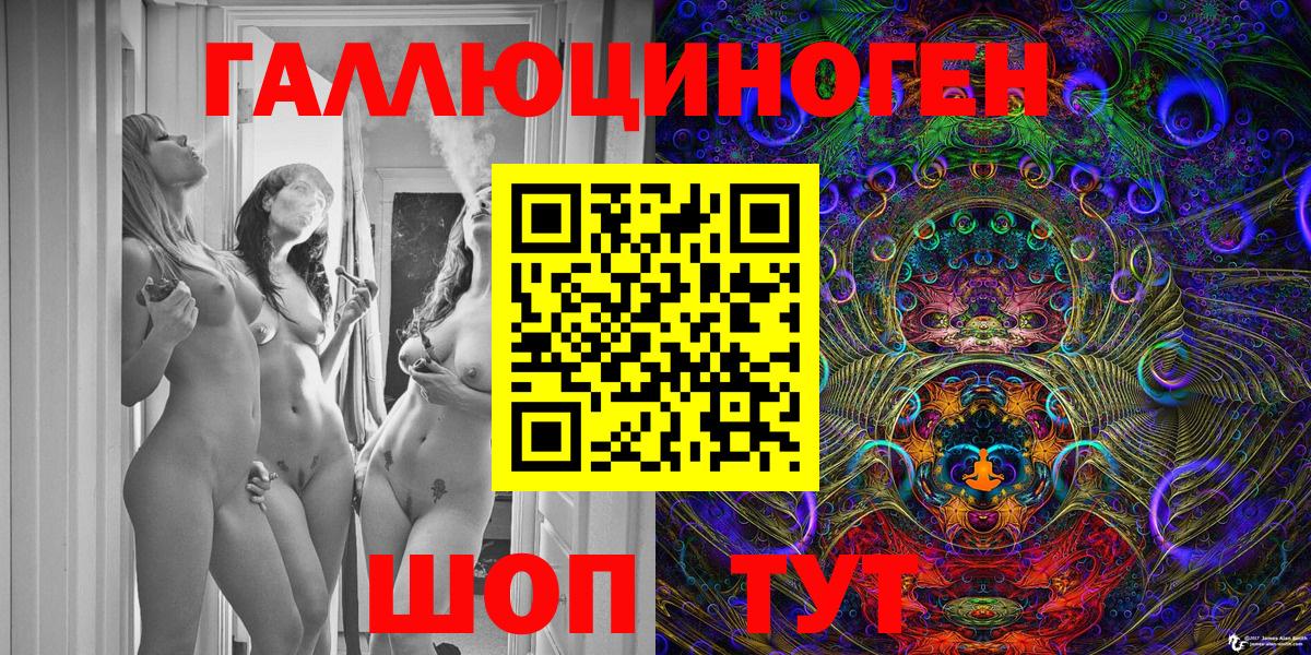 Галлюциногенные грибы Psilocybe Минусинск